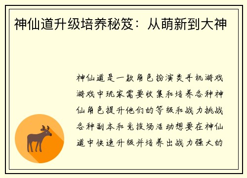 神仙道升级培养秘笈：从萌新到大神